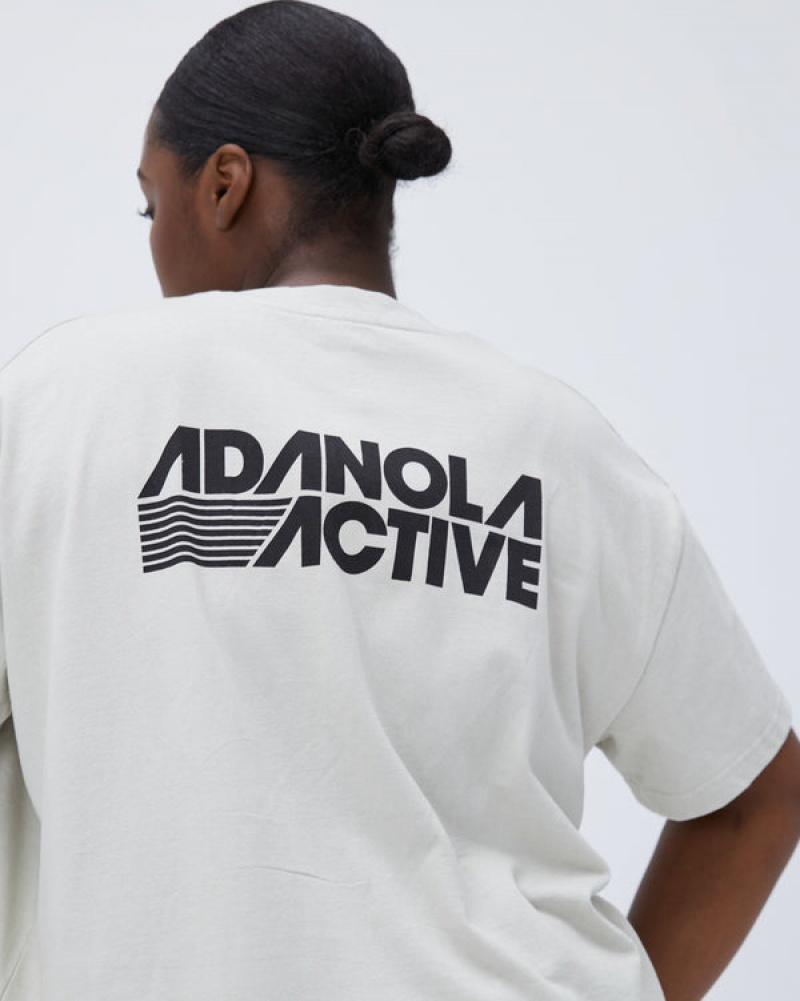 Adanola Retro Sport Kurzes Sleeve Boxy T-shirt Grau | SN-ADA56488